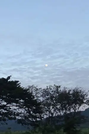 ปกนิยาย ต่อให้ทุกอย่างหมุนไป