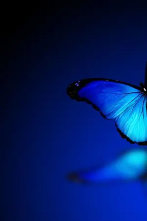 ปกนิยาย Another Me  #เขาอีกคน [BL]