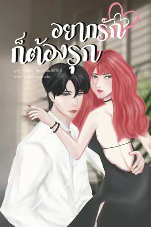 ปกนิยาย