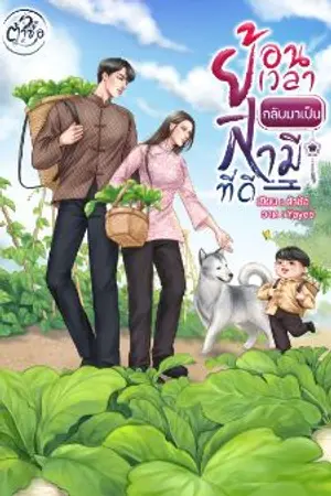 ปกนิยาย