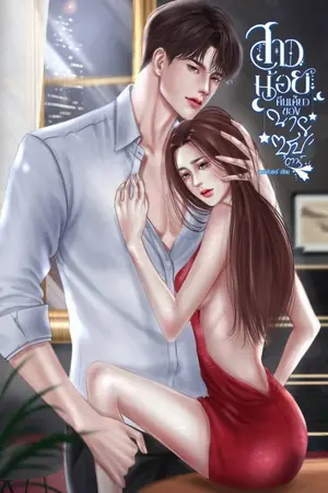 ปกนิยาย