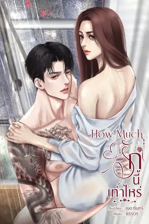 ปกนิยาย How Much รักนี้เท่าไหร่