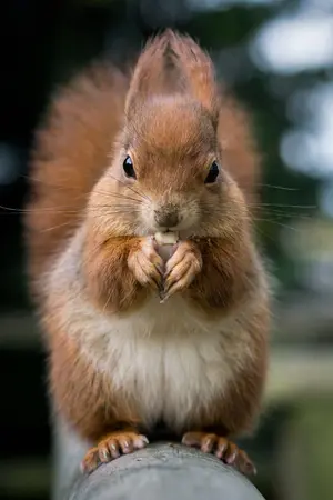 ปกนิยาย หนทางลาออกจากการเป็นคู่จิ้น [BL]