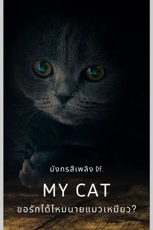 ปกนิยาย MY CAT ขอรักได้ไหม นายแมวเหมียว?