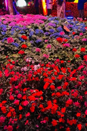 ปกนิยาย เลือดในสีฝน🍷