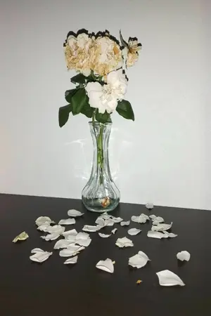 ปกนิยาย แจกันที่น้ำเอ่อเต็ม