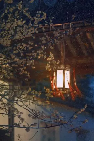 ปกนิยาย ได้โปรดปล่อยข้าไป