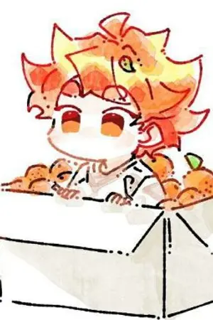 ปกนิยาย น้อนส้มแห่งกลุ่มโจรสลัดหมวกฟาง[Fic OnePiece]