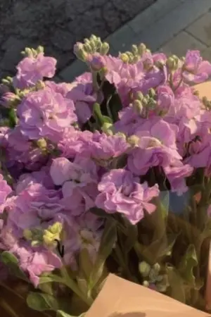 ปกนิยาย คุณหมอโรแมนติก