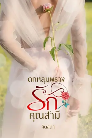 ปกนิยาย ตกหลุมพรางรักคุณสามี (มีอีบุ๊ก+จบแล้ว)