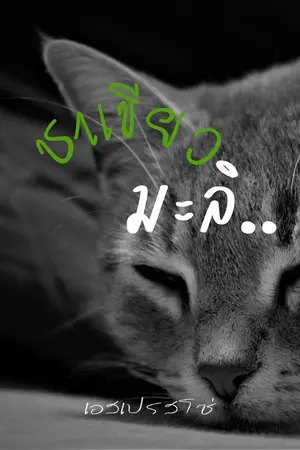 ปกนิยาย ชาเขียวมะลิ (จบ)