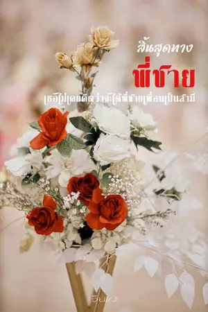 ปกนิยาย สิ้นสุดทางพี่ชาย