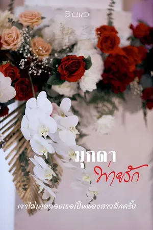 ปกนิยาย