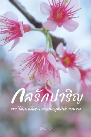 ปกนิยาย กลรักปาริญ