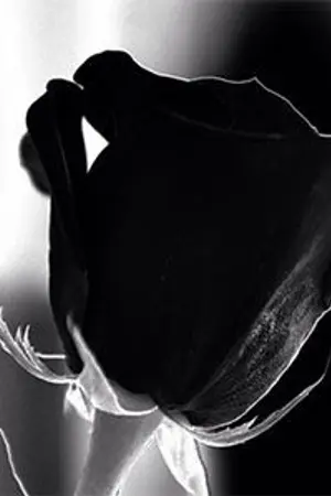 ปกนิยาย นายท่านกับคนรับใช้