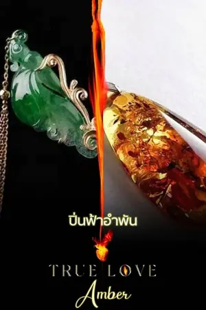 ปกนิยาย หยกฟ้าอำพัน (True Love Amber)
