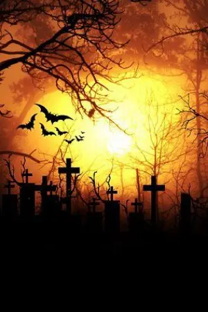 ปกนิยาย ภพรักนายแวมไพร์