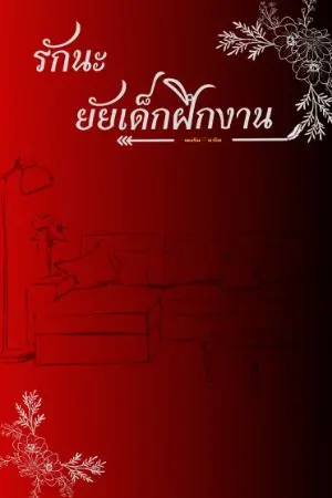 ปกนิยาย