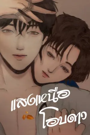 ปกนิยาย แสงเหนือโอบดาว [Ebook]