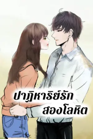 ปกนิยาย