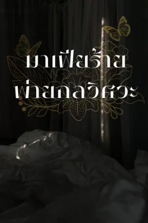 ปกนิยาย