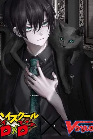 ปกนิยาย Vanguard X DxD