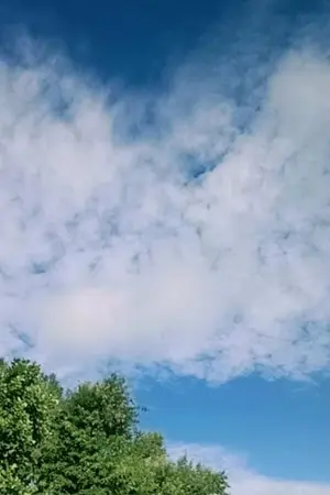 ปกนิยาย เรื่องวุ่นๆของสาวจอมคลั่งรัก