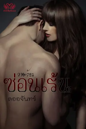 ปกนิยาย วาระร้อนซ่อนเร้น (จบแล้ว)