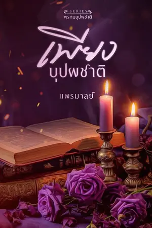 ปกนิยาย