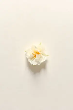 ปกนิยาย Orbiting Love ไถ่ถอนรัก