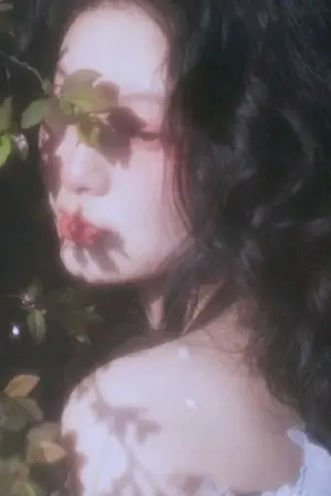 ปกนิยาย หญิงสาวต้องห้าม