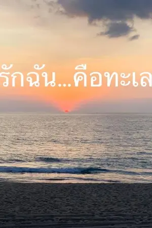 ปกนิยาย