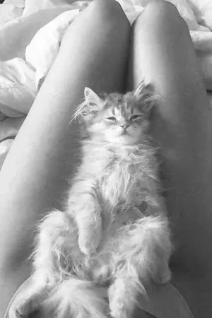 ปกนิยาย รับโกโก้ซักแก้วมั้ยครับ (18+)