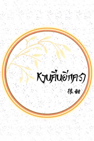 ปกนิยาย หวนคืนมาอีกครา
