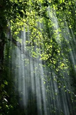 ปกนิยาย [Fic Vampire Twilight]