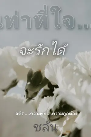 ปกนิยาย เท่าที่ใจจะรักได้