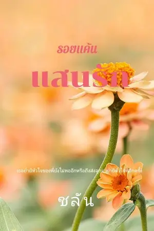 ปกนิยาย