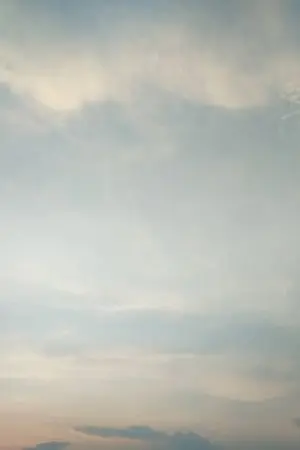 ปกนิยาย Position ใครจะไปใครจะอยู่