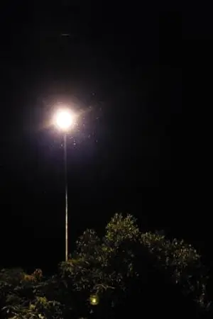 ปกนิยาย อาคมใดจะสู้หรือ #นิติสนธิ