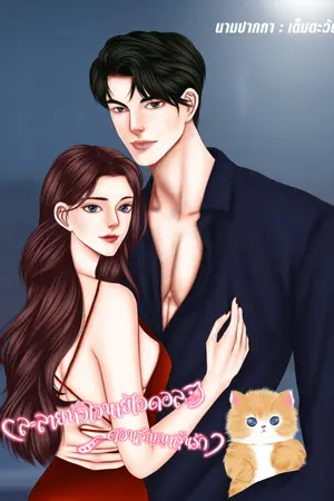 ปกนิยาย ละลายหัวใจนายไอดอล ตอนสัญญาลุ้นรัก(จินเบ*หลิน)