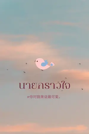 ปกนิยาย