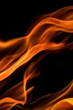 ปกนิยาย ของกำนัลมอดไหม้