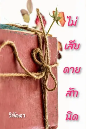 ปกนิยาย ไม่เสียดายสักนิด