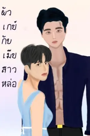 ปกนิยาย ผัวเกย์กับเมียสาวหล่อ