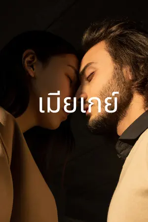 ปกนิยาย เมียเกย์