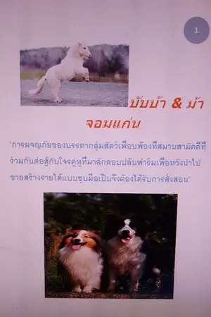 ปกนิยาย