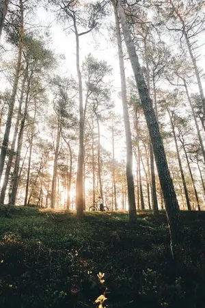 ปกนิยาย นวด..กระชากวิญญาณ