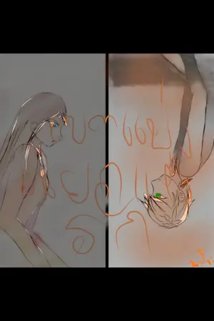 ปกนิยาย เขตแบ่งแยกแห่งรัก.