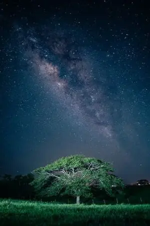 ปกนิยาย จิตวาดฝัน