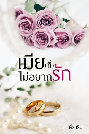 ปกนิยาย เมีย(ที่)ไม่อยากรัก